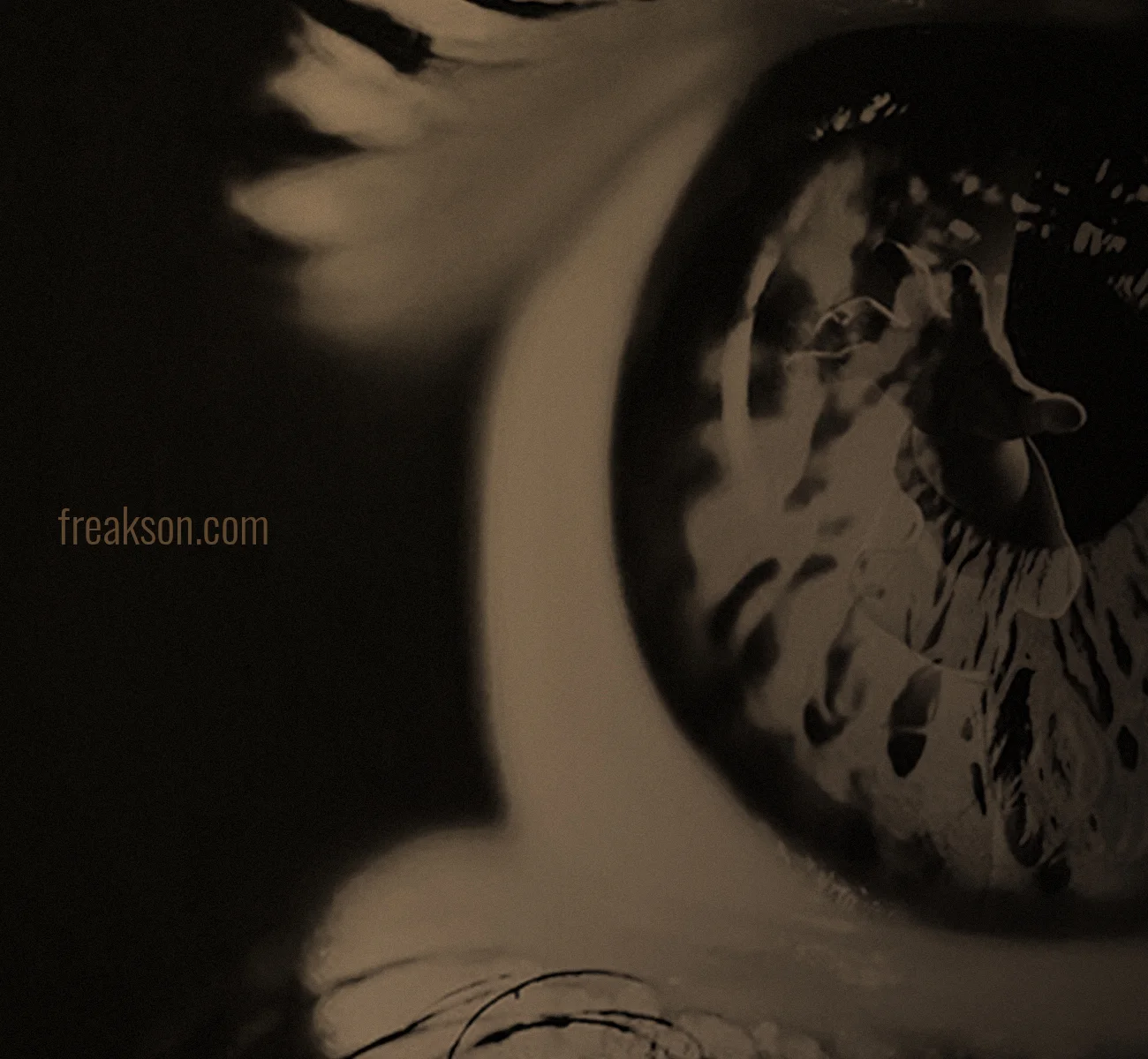 Image de couverture du projet direction artistique des cartes membre pour Freaks ON de la page portfolio